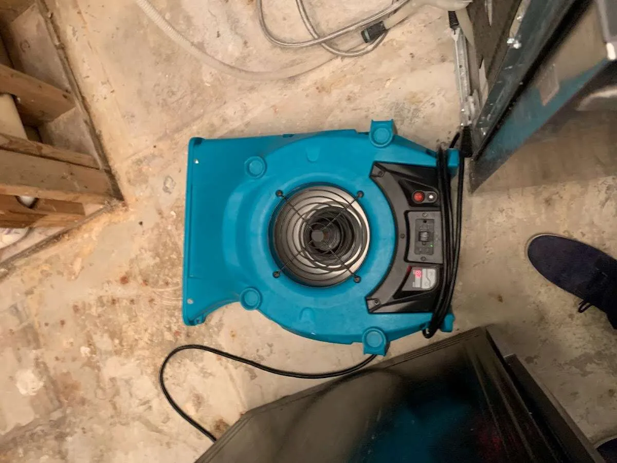 Air mover drying equipment for Mold Remediation & Removal in Goshen